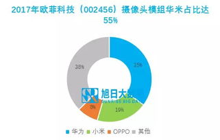 國產(chǎn)品牌崛起與軟件開發(fā)上市公司的客戶結(jié)構(gòu)機(jī)遇