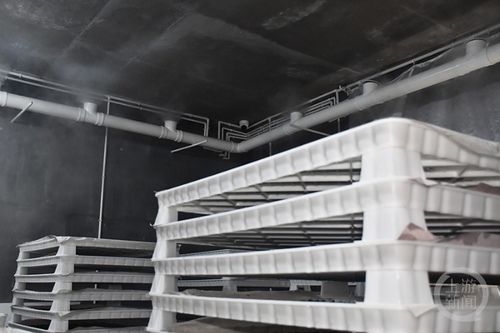 智能共育工廠 蠶寶寶住進“別墅”，還有“保姆”貼心照料