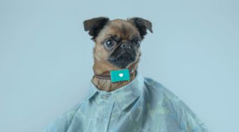 TraCy Tracker 一只貼心又智能的寵物保姆