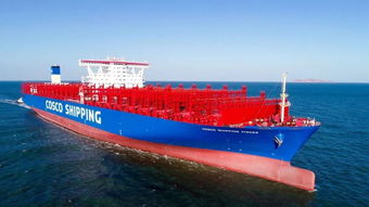 新年開門紅！中遠海運多艘新船命名交付，助力國際海運物流網絡優化升級